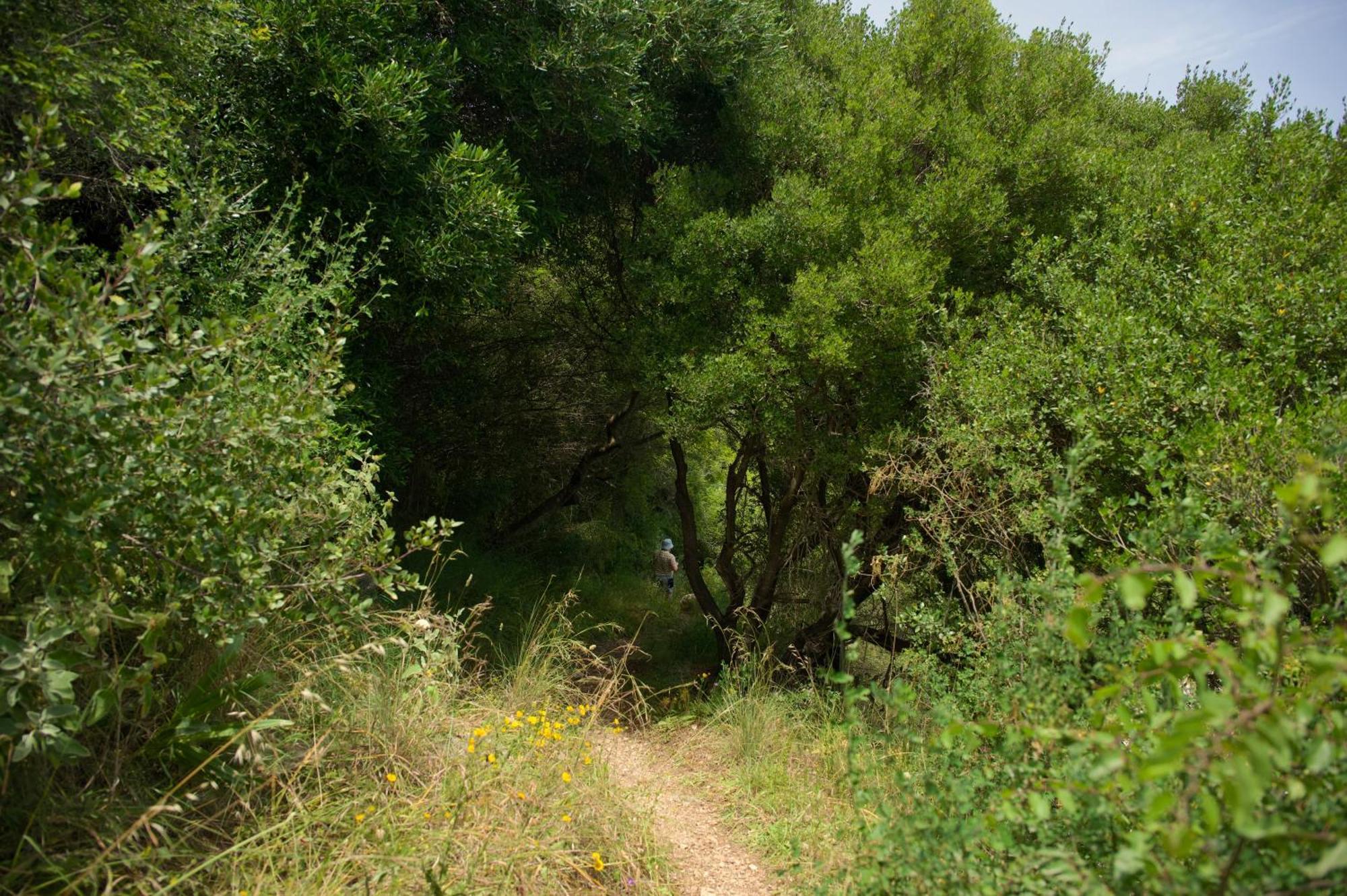 Villa Vilelmina Agnitsini Bagian luar foto